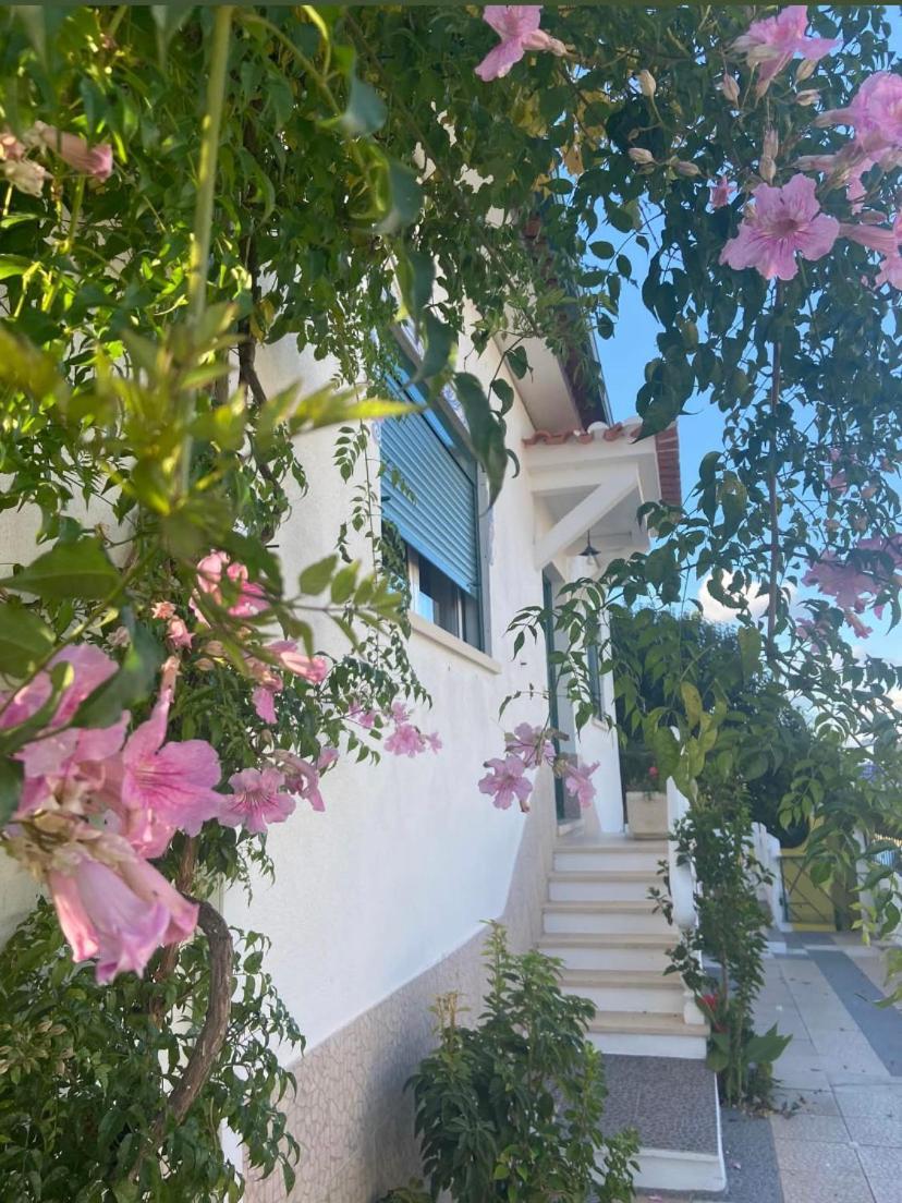 Casa De Azzancha Azinhaga Exterior foto